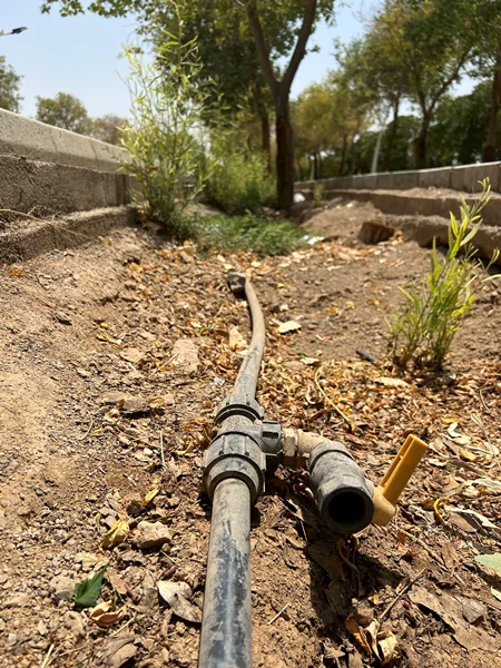 کمتر از 50 درصد از کشاورزان اصفهان از آبیاری نوین بهره میبرند